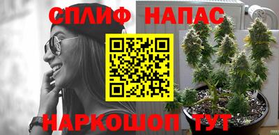 мдма Камышлов