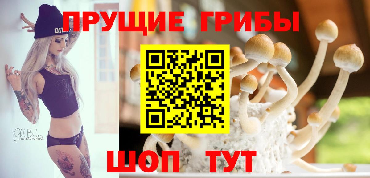 Галлюциногенные грибы Psilocybine cubensis Кулебаки
