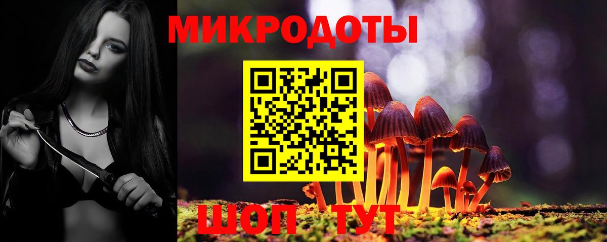 Кулебаки  что такое   Вход с VPN  Псилоцибиновые грибы прущие грибы 
